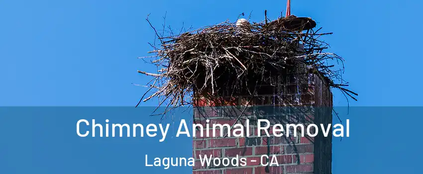  Chimney Animal Removal Laguna Woods - CA
