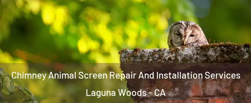  Chimney Animal Screen Repair And Installation Services Laguna Woods - CA