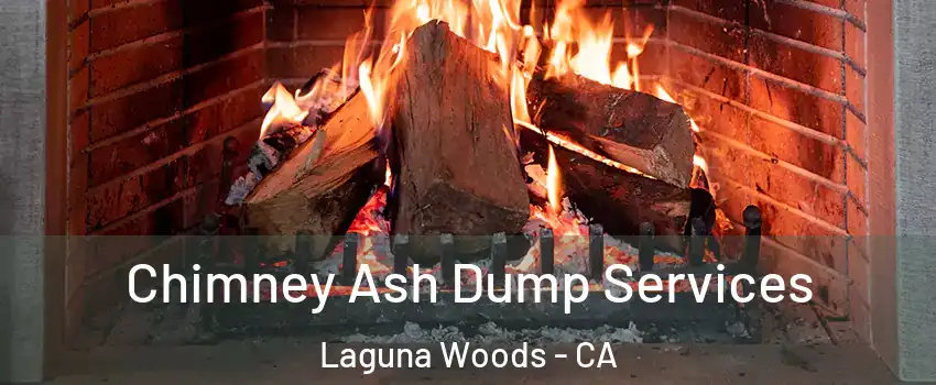  Chimney Ash Dump Services Laguna Woods - CA