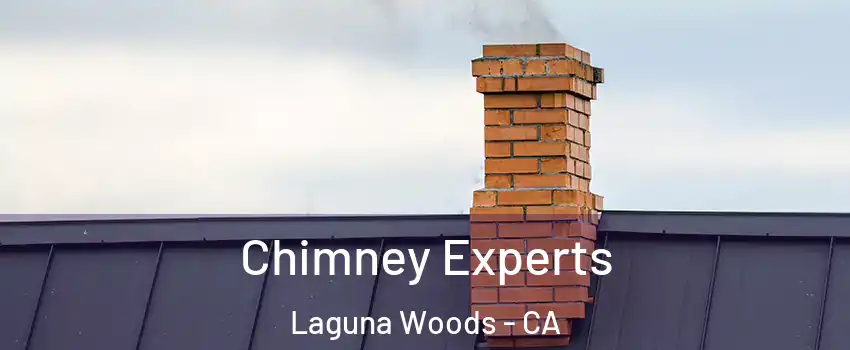  Chimney Experts Laguna Woods - CA