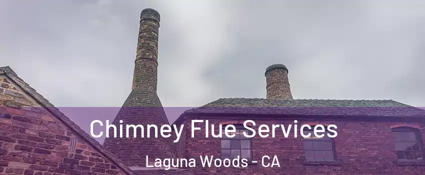  Chimney Flue Services Laguna Woods - CA