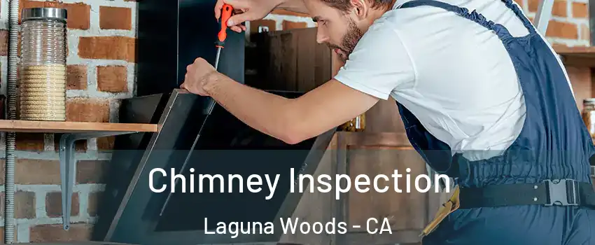  Chimney Inspection Laguna Woods - CA