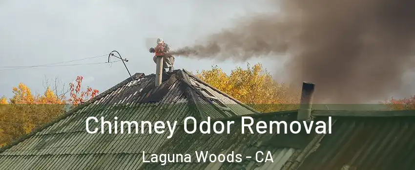  Chimney Odor Removal Laguna Woods - CA