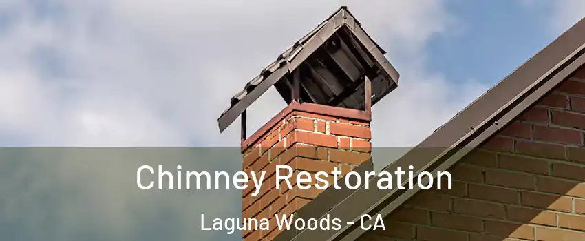  Chimney Restoration Laguna Woods - CA