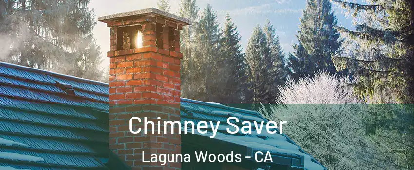  Chimney Saver Laguna Woods - CA