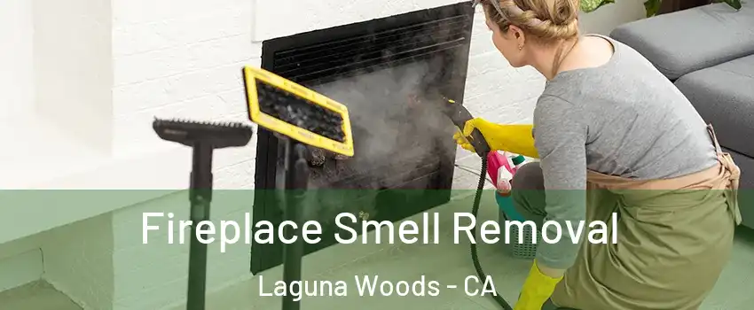  Fireplace Smell Removal Laguna Woods - CA