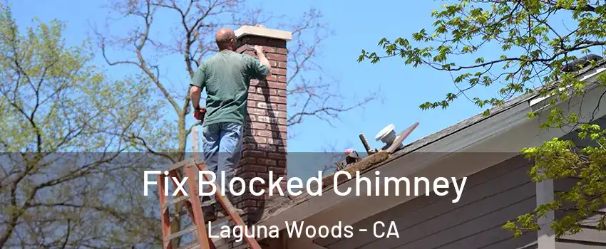  Fix Blocked Chimney Laguna Woods - CA