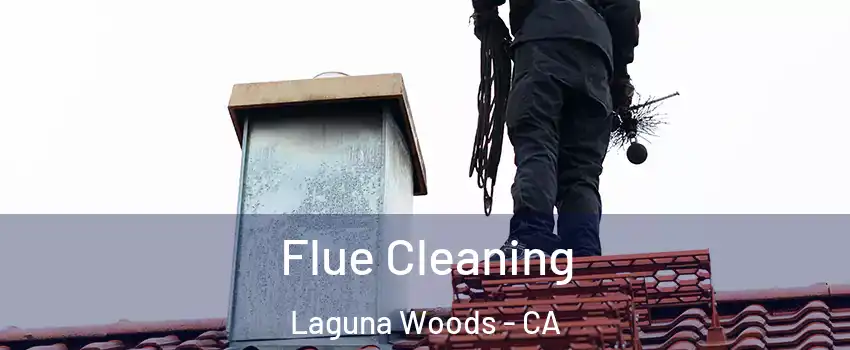  Flue Cleaning Laguna Woods - CA