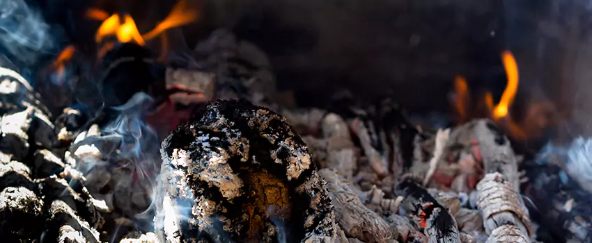 Creosote Removal Experts in Laguna Woods, CA