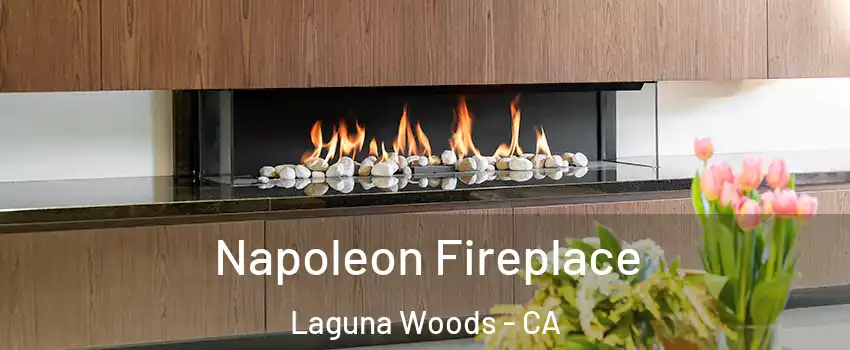  Napoleon Fireplace Laguna Woods - CA