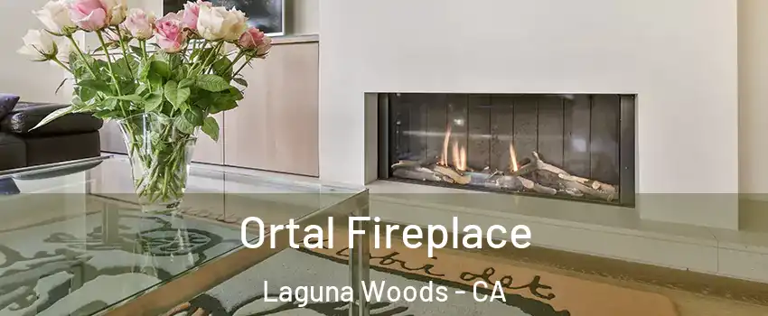  Ortal Fireplace Laguna Woods - CA